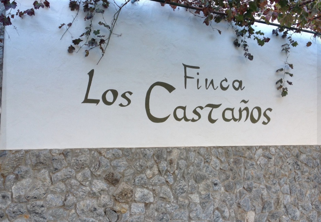 FINCA LOS CASTAÑOS