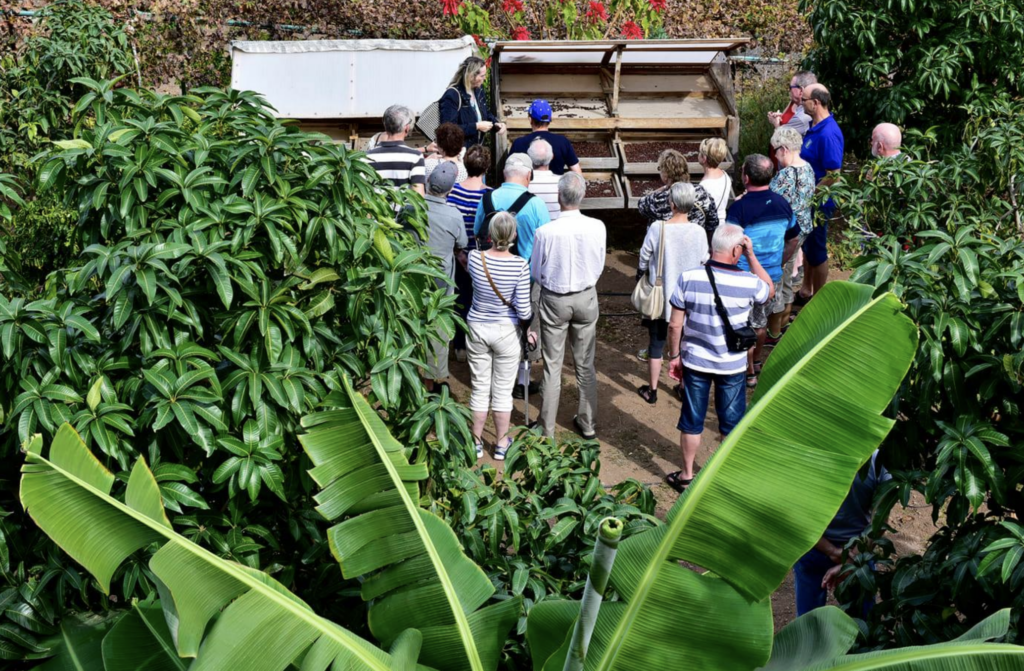 TOUR FINCA LOS CASTAÑOS